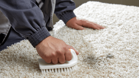 Professional Rug Cleaning Somerville